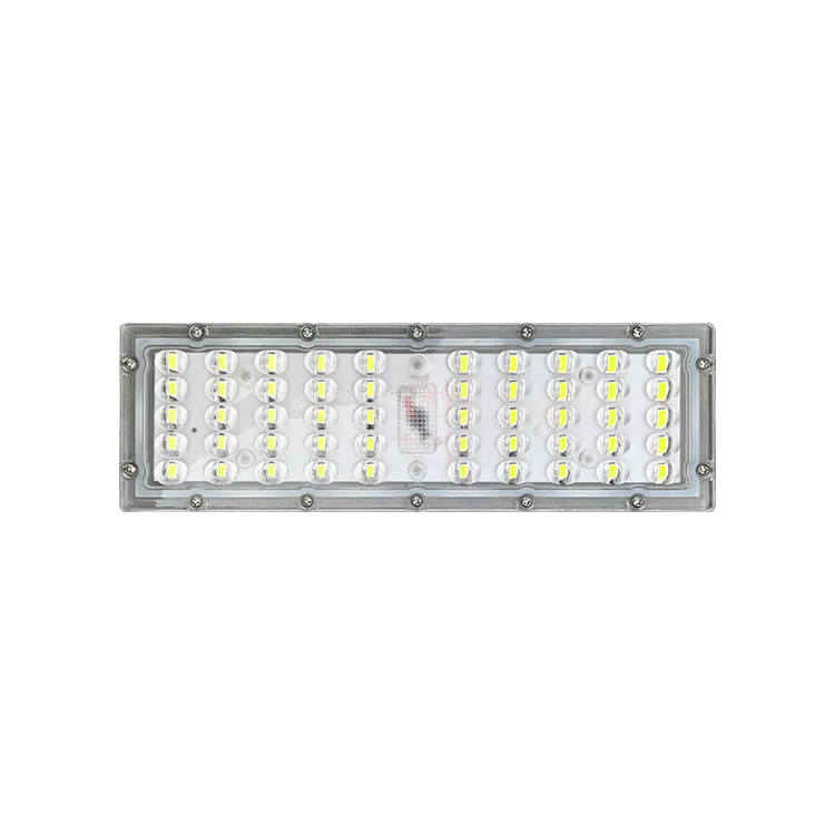 01 LED Module